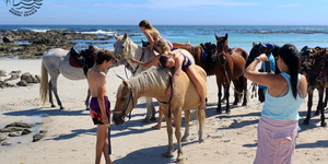 Gansbaai & Pearly Beach Horse Trails