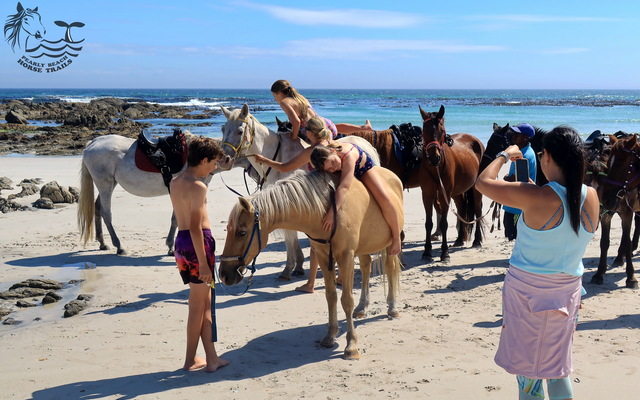Gansbaai & Pearly Beach Horse Trails