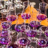 Sir Robert Stanfordâ€™s Heritage Show - Jolly Rooster - Stanford