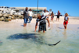 Cape Agulhas Tourism Competition Week 3