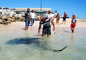 Cape Agulhas Tourism Competition Week 3
