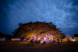 Weddings at De Hoop Collection