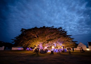 Weddings at De Hoop Collection