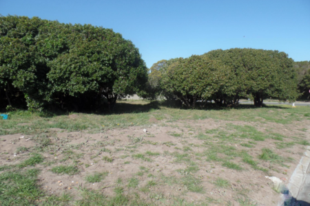 vacant_land_in_kleinbaai1_1600148340