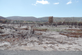 735 mÂ² Vacant Land For Sale In Franskraal