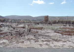 735 mÂ² Vacant Land For Sale In Franskraal