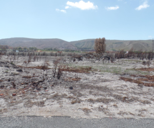 735 mÂ² Vacant Land For Sale In Franskraal