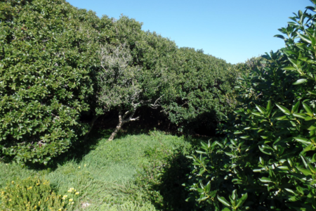 595_vacant_land_in_franskraal_1600150070