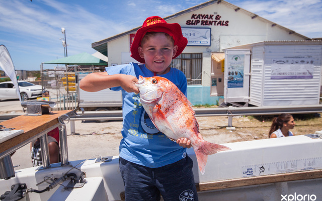 struisbaai_awesome_charters_harnour_boy_fish_caught_1548145150_1600236512