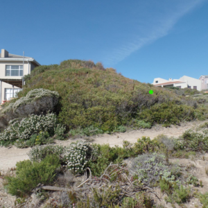 pam_golding_erf_1600770032