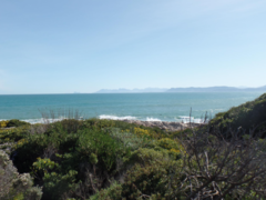 535 mÂ² Residential Vacant Land For Sale In Gansbaai - R1,690,000