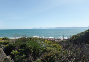 535 mÂ² Residential Vacant Land For Sale In Gansbaai - R1,690,000