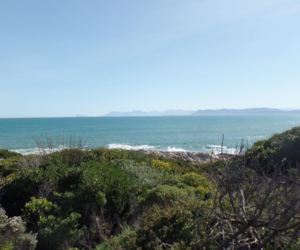 535 mÂ² Residential Vacant Land For Sale In Gansbaai - R1,690,000