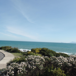 pam_property_1600770031