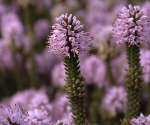 Cape Agulhas Tourism Competition Week 5