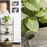 Hermanus - Dr AdelÃ©ne Esterhuizen Gynaecologist and Obstetrician - Entrance of Rooms