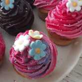 Cupcakes - Cake Delights - Bredasdorp