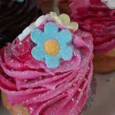 Cupcakes - Cake Delights - Bredasdorp