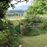 Garden - Lavender Cottages - Grabouw / Elgin