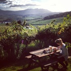 View - Lavender Cottages - Grabouw / Elgin