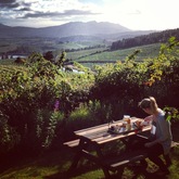 View - Lavender Cottages - Grabouw / Elgin