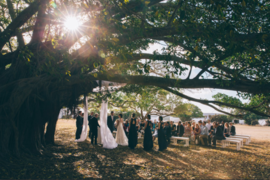 Weddings / The Old Fig Tree