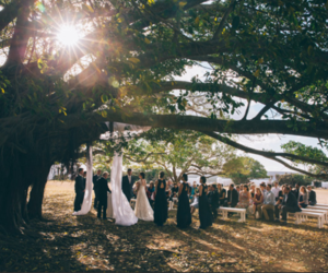 Weddings / The Old Fig Tree