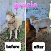 Fashionable on the farm (Gracie) - Beloftebos Farm cottages - Stanford