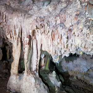 WhatsApp_Image_2020_10_15_at_16.46.24_1_1602834225