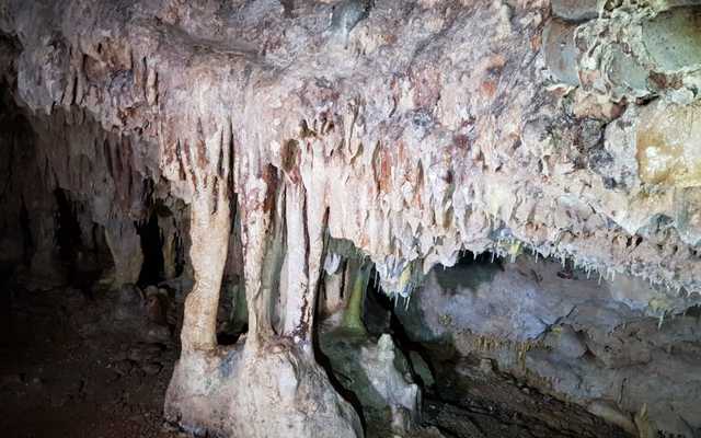 WhatsApp_Image_2020_10_15_at_16.46.24_1_1602834225