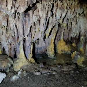 WhatsApp_Image_2020_10_15_at_16.46.25_2_1602834226