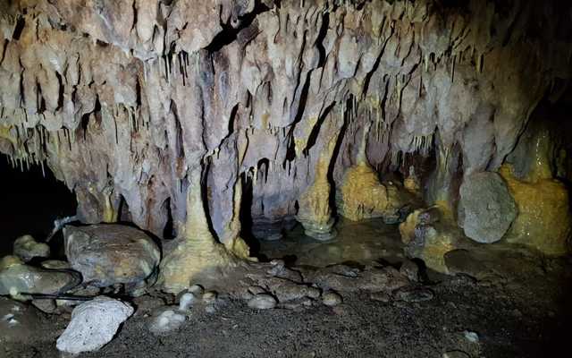 WhatsApp_Image_2020_10_15_at_16.46.25_2_1602834226