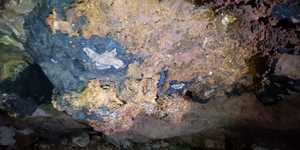 WhatsApp_Image_2020_10_15_at_16.46.26_1_1602834227