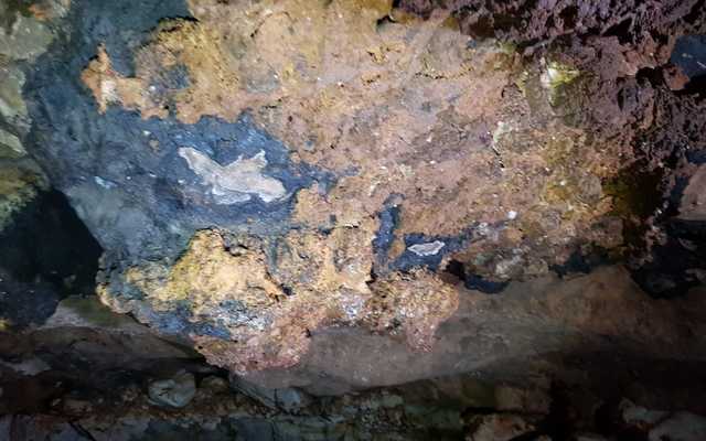 WhatsApp_Image_2020_10_15_at_16.46.26_1_1602834227