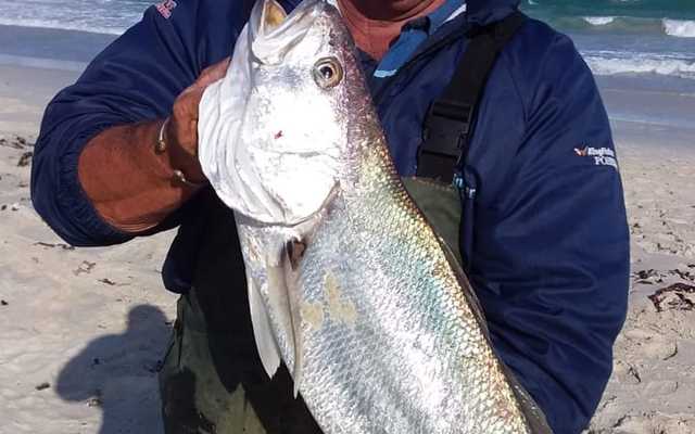 Kabeljoe_at_Die_Dam_in_Summer_1602842659