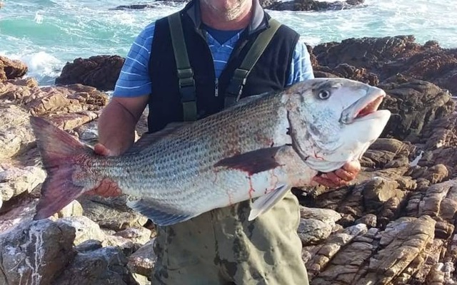 Musselcracker_1602843330