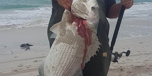 Oubaas_with_Cracker_at_Die_Dam_21.6kgs_1602842661