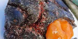 Fresh rooi aas (red bait)