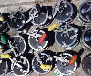 Fishing around Gansbaai with Oubaas Lesch - Fishing Seasons