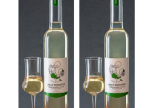 Fig Infused Liqueur (22% Vol.)