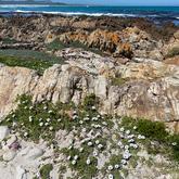Spring has come to Pearly Beach - Pearly Beach Ratepayers - Gansbaai