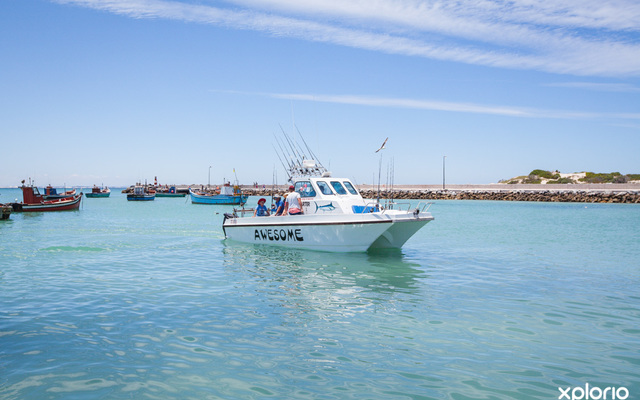 struisbaai_awesome_charters_entering_harbour_4_1548145117_1603284410