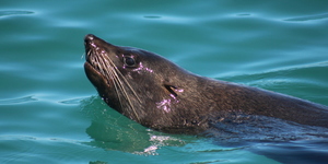 20201022_DC_Trip1_SusyAlexandersen_35JPG_1603440430