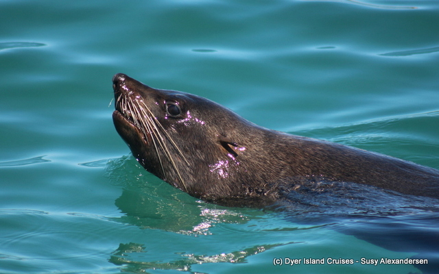 20201022_DC_Trip1_SusyAlexandersen_35JPG_1603440430