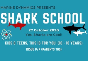 Shark School - 27 October 2020
