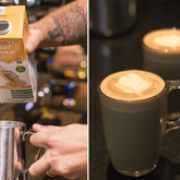 Gansbaai - Raging Goose Coffee - Oat Milk Coffee