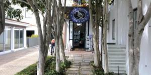 123722529_1743560485811383_1553820119327050564_o_1604902551