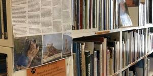 123908800_1743560465811385_7936323855692214731_o_1604902549