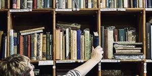 123916249_1743560429144722_7645149969331642562_n_1604902553