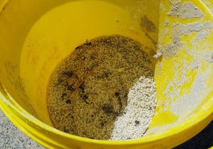 GANSBAAIERS URGED TO JOIN NURDLE CLEAN-UP